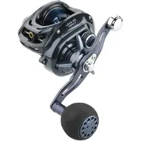 Daiwa Lexa Hd 2019 Baitcasting Reel Gris Ratio: 7.1:1