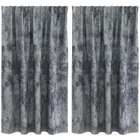 vidaXL Rideaux en velours avec tringles 2 pièces Argent Gris 140 x 140 cm Velours