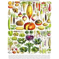 New York Puzzle Company - Puzzle « Légumes » - Illustration vintage - 1 000 pièces