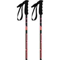 Elan Bâtons Speedrod W