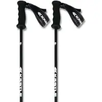 Kästle Legendary Ca Poles Argenté 120 cm
