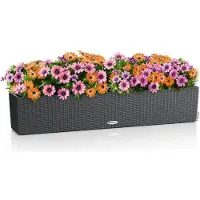 Lechuza BALCONERA Cottage 100 (99 x 99 x 19 cm)