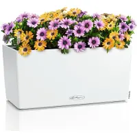 Lechuza BALCONERA Color 40 (40 x 40 x 19 cm)