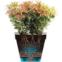 Elho Pot de Plante Elho Carré 29,5 cm - Polypropylène Blanc Moderne