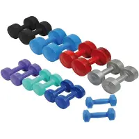 Sporti France Haltère 4kg 2 Unités