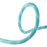 Edelrid Corde Interstatic Protect 11 Mm