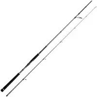 Cinnetic Canne Spinning Crafty Translight Sea Bass Light Game