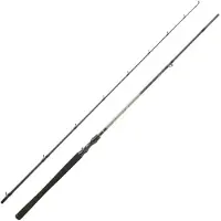 Daiwa Canne Baitcasting Exceler 2 Sections