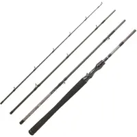 Daiwa Canne Baitcasting Exceler Travel
