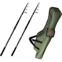 ZFISH Canne Carpfishing Kingstone&case 2 Unités
