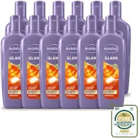Unilever 12 flacons de shampooing Andrélon Glans, 300 ml chacun, lot de 12