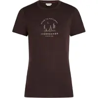 Icebreaker T-shirt marron / cappuccino