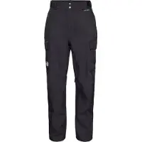 The North Face Pantalon de sport 'Blizzadery' noir