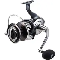 Daiwa Moulinet Certate SW 10000-P