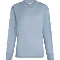 Icebreaker T-shirt fonctionnel 'Tech Lite' bleu-gris