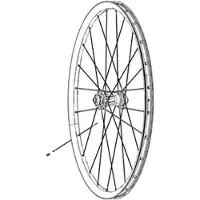 Zipp Rayon Cx-ray J-bend External With Titanium Washers 3 Unités