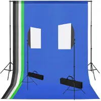vidaXL Kit de studio photo avec boîte à lumière et toiles de fond