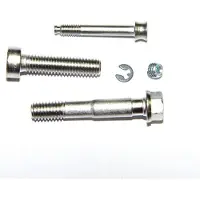 Formula Puro Brake Caliper Screws Argenté