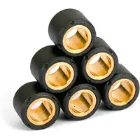 Sifam - Kit Galets X8 Ø25x14.9-16g