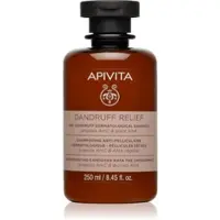 Apivita Dandruff Relief Dry Dandruff Dermatological Shampoo shampoing antipelliculaire pour cuir chevelu sec avec démangeaisons 250 ml