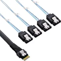 InLine Câble SAS interne (50 cm, SATA)