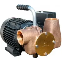 Jabsco Utility 3m 80l/min 1 1/2´´ Pump 4.2a 230v Doré 225 x 242 x 325 mm