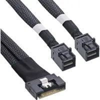 InLine Câble SAS « Slim », SFF-8654 8i vers 2x SFF-8643 (100 cm, Mini-SAS HD)