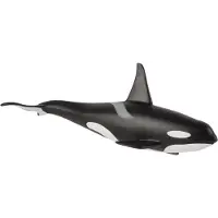 Mojo Fun Mojo Sealife, orque mâle - 387114
