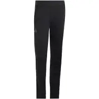 Adidas Pantalon outdoor 'Xperior' noir