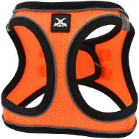 Nayeco Harnais Pour Chien X-trm Neo