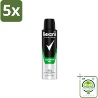 Rexona 5 vaporisateurs déodorants Men Quantum Dry - 150 ml - Lot de 5 pièces