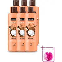Sence 6 bouteilles de shampooing à l'huile de coco - Shampooing nourrissant pour cheveux secs et abîmés - 400 ml - Pack économique - 6 pièces