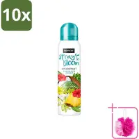 Sence 10 déodorants , senteur Tropical Joy & Coconut, 150 ml, lot de 10