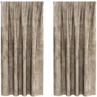 vidaXL Rideaux en velours 2 pcs Champagne 175 x 140 cm Velours
