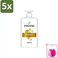 Pantene 5 flacons de shampooing Pro-V Réparation et Protection - 1000 ml - Pack économique - 5 pièces