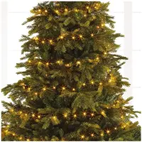 Lumineo LED Guirlande lumineuse Basic 2700 cm 360 lumières classiques chaudes