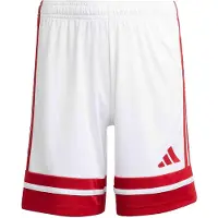 Adidas Pantalon de sport 'Squadra 25' rouge / blanc
