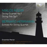 Brilliant Musique de chambre pour cordes
