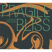 DISTRART M CNT FRAGILE BLISS