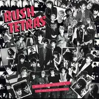 Import Rhythm And Paranoia The Best Of Bush Tetras