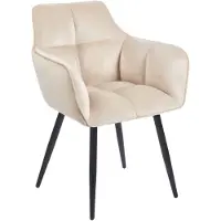 FurniTex Fauteuil K40-FX en velours beige