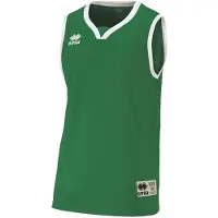 Errea T-Shirt fonctionnel 'CALIFORNIA' vert / blanc