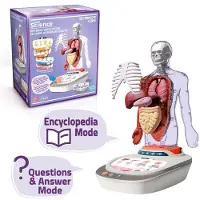 Canal Toys Vozpedia Du Corps Humain