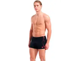 Arena Short De Bain Graphic