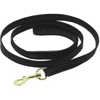 Equithème Laisse Pour Chien Nala