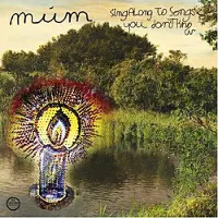 Morr Music Sing along to songs you don't know