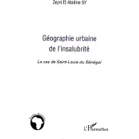 Editions L'Harmattan Géographie urbaine de l'insalubrité - Zeyni El Abidine Sy