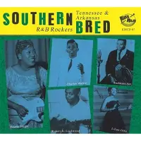 Sonic Various Artists - Southern Bred 21 Tennessee R&b Rockers: On The Floor (Various