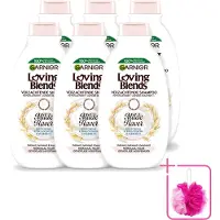 Garnier 6 x Shampooing doux Loving Blends à l'avoine - Pour cheveux normaux et cuir chevelu sensible - 300 ml - Pack économique - 6 pièces