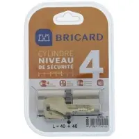 Bricard serial xp 18004 cylindre 40+40 mm double entree nickele niveau de securite 4